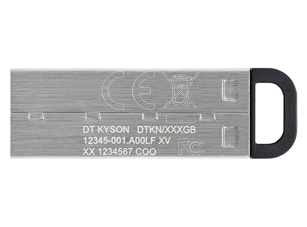 USB 64GB Kingston DTKN/64GB 3.2 Plata