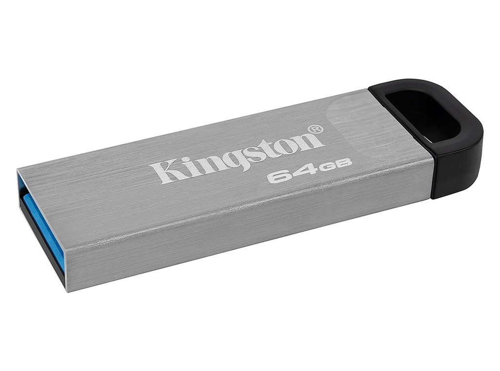 USB 64GB KINGSTON DTKN/64GB 3.2 PLATA