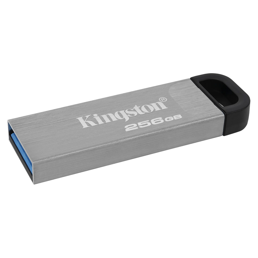 USB 256GB DTKN/256GB KINGSTON 3.2 PLATA