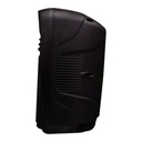 BOCINA 6.5" SA654P BT/ AUX/ FM/ USB/ LINK BITS (C.12)