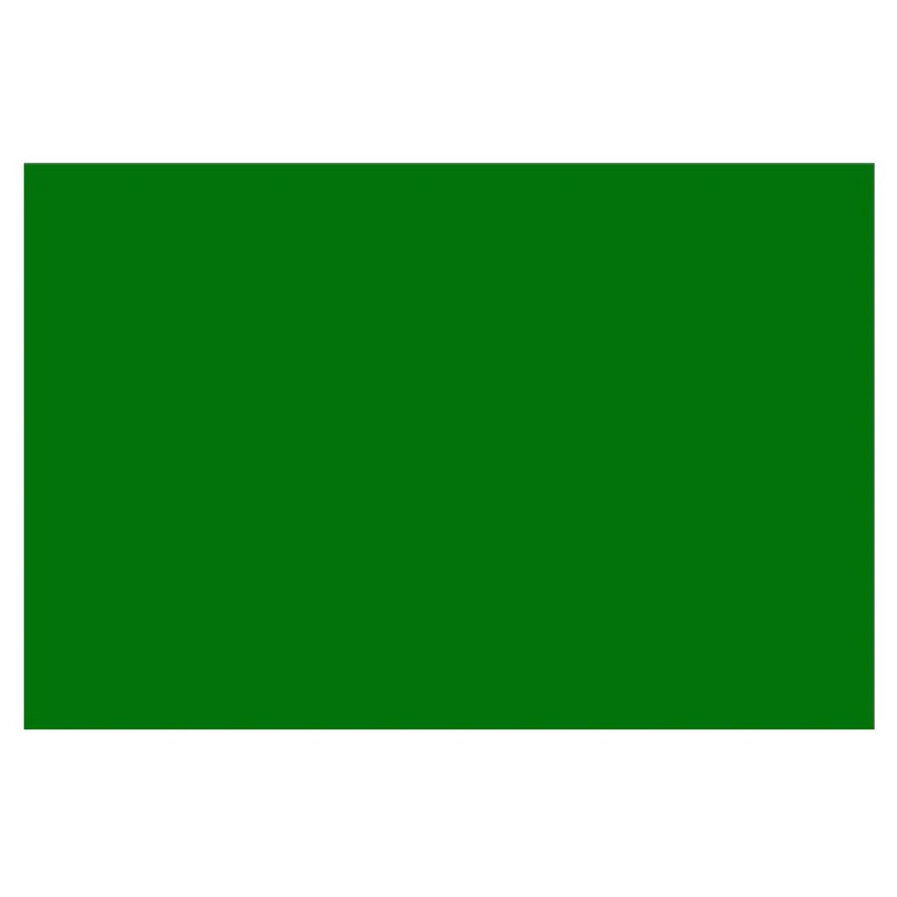 Paquete C/25 Papel Lustre Verde Bandera 50x70