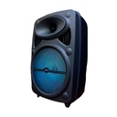 Bocina 8 Pulgadas Link Bits SA8075T Radio FM Micrófono