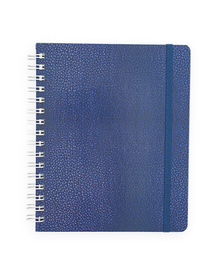 Cuaderno Prof. Printaform Ejecutivo Raya 100H EJPRRY-C
