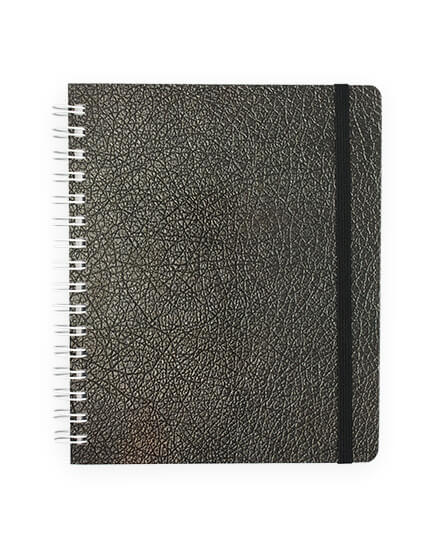 Cuaderno Prof. Printaform Ejecutivo Raya 100H EJPRRY-C