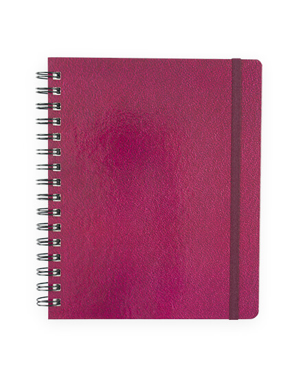 Cuaderno Prof. Printaform Ejecutivo Raya 100H EJPRRY-C