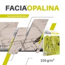 Opalina Cartulina Coparmex Carta Marfil Paq. C/100 225g