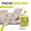 Opalina Papel COPAMEX Carta Marfil Paq. C/100 120g
