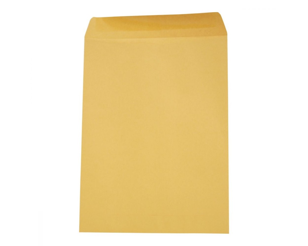 Sobre Bolsa Panuco Carta 22.9x30.5 74332-24 E:100