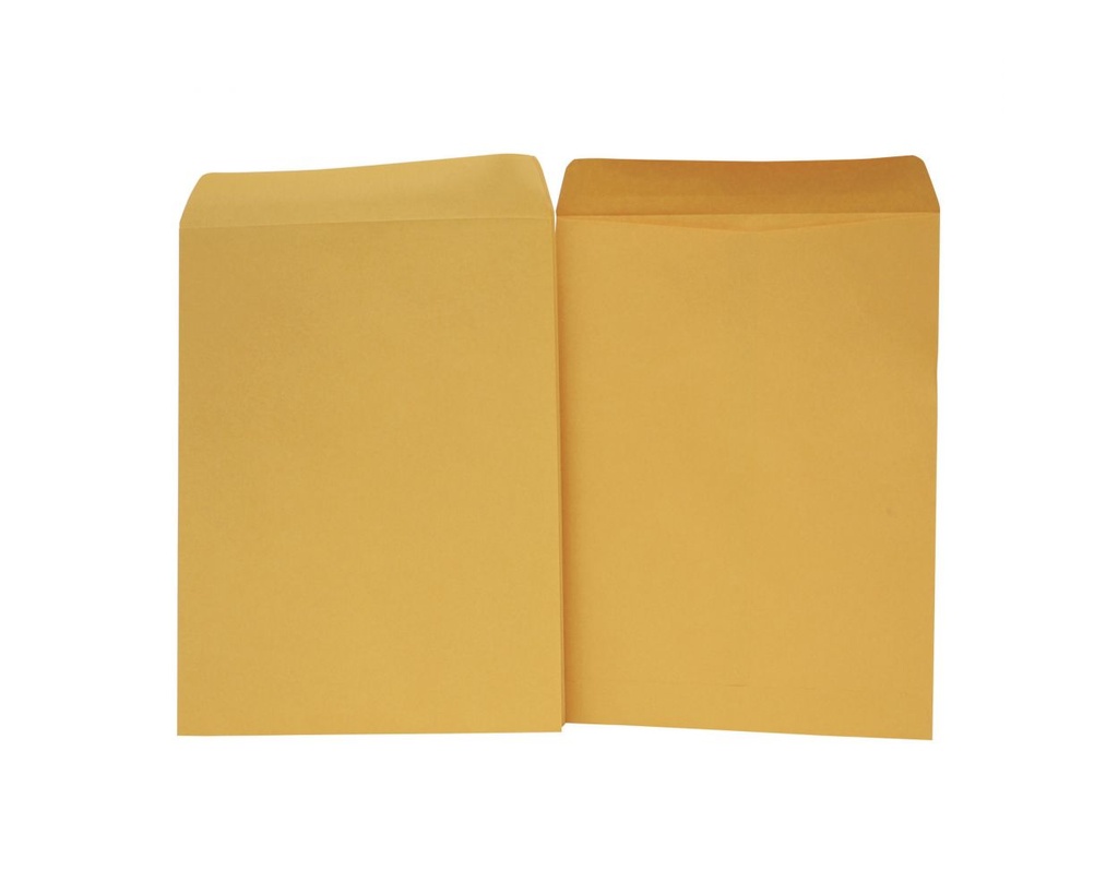 Sobre Bolsa Panuco 1/2 Carta 15.2X22.9 74331-24 E:100