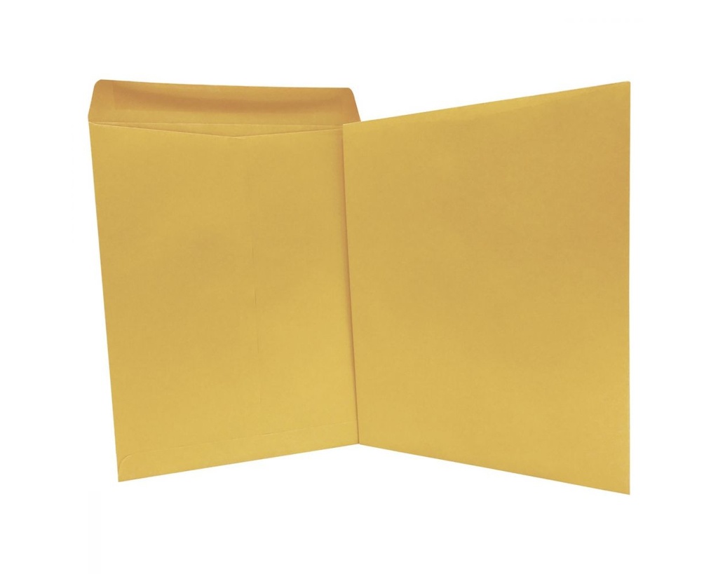 SOBRE BOLSA PANUCO FOLDER 25.4x33 90G 74333-24