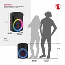 Bocina 15 Pulgadas Mitzu GEM-9515 Aux Fm Usb 1 Micrófono Alámbrico