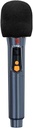 Bocina Profesional 2X8 Pulgadas Kaiser MSA-2029 24,000W Con Micrófono Inalámbrico