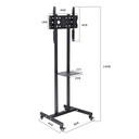 Soporte Tv De Carrito Lucky Owl Y609A-TVC3265 32 a 65 Pulgadas 600*400mm 40Kg
