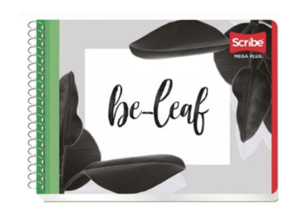 Cuaderno Scribe Forma Italiana Doble Raya Mega 4534 100 Hojas (C.48)