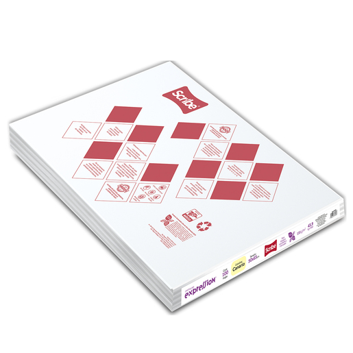 Paquete C/100 Cartulina Blanca Bristol Scribe 50x65 160g