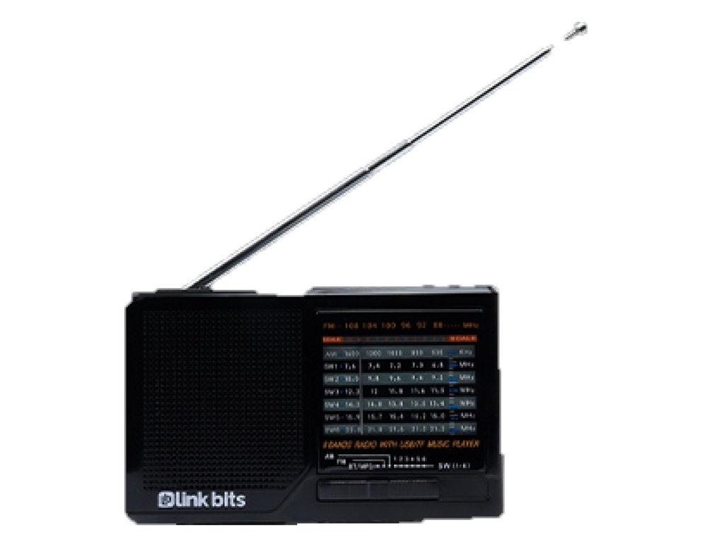 Bocina Radio RD-209 AM FM Recargable Link Bits (C.60)