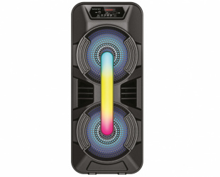 Bafle 8x2" NB-08X NBBB8X0188 Necnon Fm USB Negro