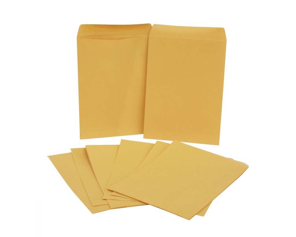 Paquete C/100 Sobre Bolsa Panuco Carta Ampad 22.9x30.5 9029CAR