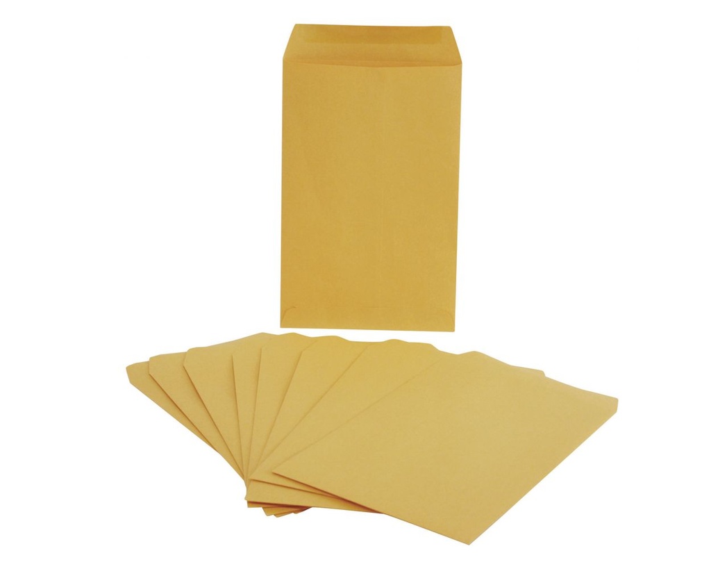 Paquete C/100 Sobre Bolsa Panuco 1/2 Carta Ampad 15.2X22.9 9029MC