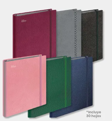 [CARPREJEC] Carpeta Printaform Ejecutiva Premium 3 argollas 1" (C.12)