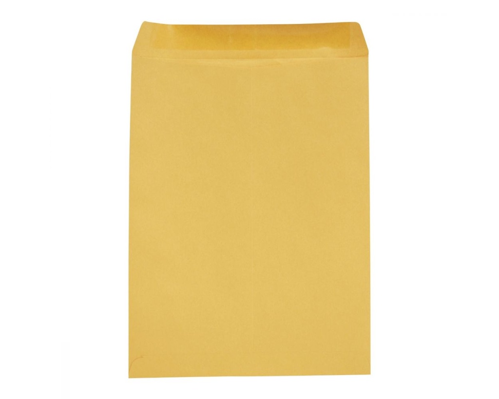 Paquete C/100 Sobre Bolsa Panuco Folder Ampad 25.4X33 90g