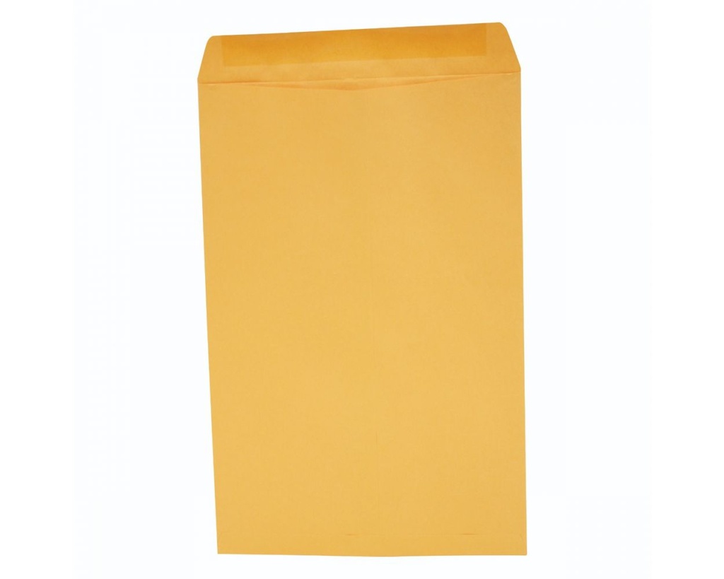 Paquete C/50 Sobre Bolsa Panuco Oficio Americano Ampad 25.4x38.1