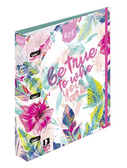 Carpeta Profesional 100h Kiut Norma 533380 (C.6)