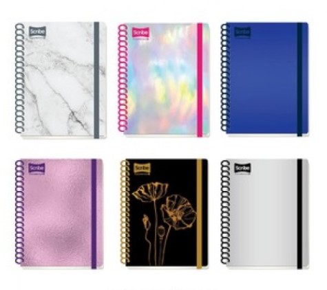 Cuaderno Profesional Raya Scribe Excellence 0630 200H