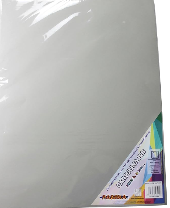 Paquete C/10 Cartulina Gris Iris Pascua165g 50x65