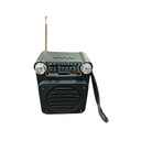 Bocina RD-248 Radio FM Reproductor USB, BT Y TF Link Bits (C.40)