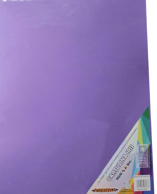 Paquete C/10 Cartulina Morado Iris Pascua 165g 50x65 (E.10)