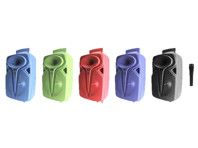 Bocina Bluetooth 8 Pulgadas Link Bits SA8069T Radio Fm Luz Led Multicolor (C.8)