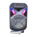 Bocina Bluetooth Link Bits 12 Pulgadas SA1242TKL  Luz Led Multicolor