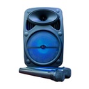 Bocina 8 Pulgadas Link Bits SA8075T Radio FM Micrófono