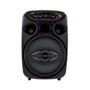 Bocina 8" SA8058T Bt Micrófono Usb Sd Fm