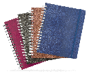 Cuaderno Profesional Printaform Ejecutivo Raya 100H EJPRRY (C.12)