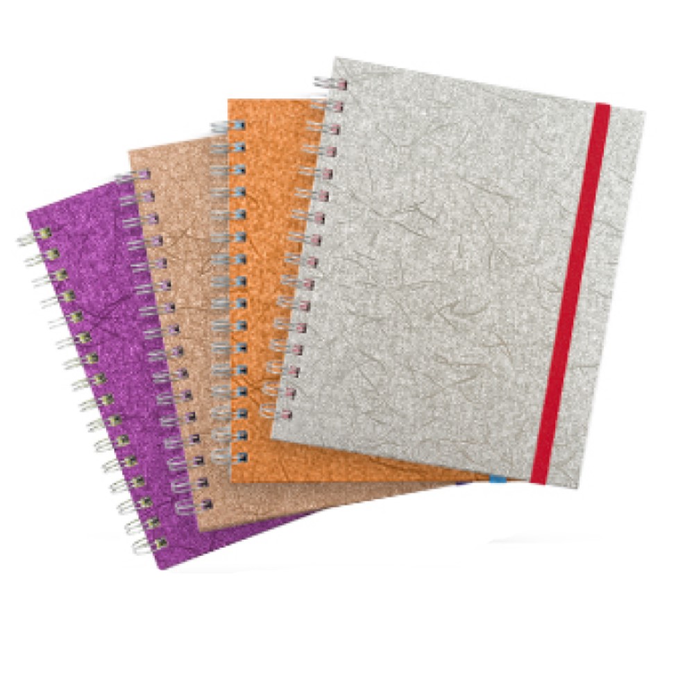 Cuaderno Profesional Espiral Metalico Fibra Raya 100H Printaform (C.12)