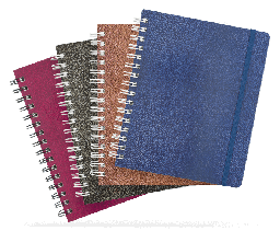 [EJPRRY] Cuaderno Profesional Printaform Ejecutivo Raya 100H EJPRRY (C.12)