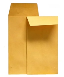 [PAQ500-75008] Paquete C/500 Sobre Ante Coin 8.8X16.2 625 9042COI