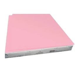 [8993053010152] Cartulina Rosa Bristol Scribe 50x65 Paquete C/100 Piezas