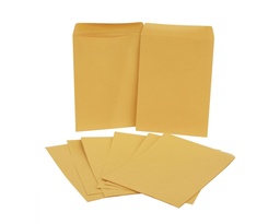 [PAQ100-74332-24] Paquete C/100 Sobre Bolsa Panuco Carta 22.9x30.5 9029CAR