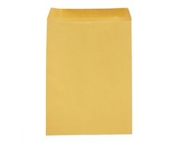 [PAQ100-74333-24] Paquete C/100 Sobre Bolsa Panuco Folder Ampad 25.4X33 90g