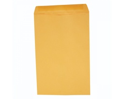 [PAQ50-74337] Paquete C/50 Sobre Bolsa Panuco Oficio Americano Ampad 25.4x38.1