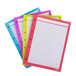 [PAQ5-RECARCOG] Paquete C/500 Hojas De Repuesto Printaform  P/Carpeta Cuadro 7mm