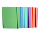 [PRARPRY] Cuaderno Profesional Printaform Arcoíris Pastel Raya 100 hojas (C.12)