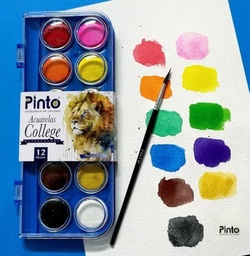 [374612] Acuarela C/12 Pastillas Pinto College + Pincel